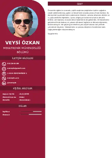 Mekatronik Mühendisliği Cv Örnekleri cv indir